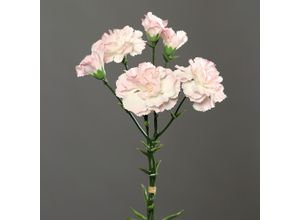 4027234881096 - Kunstblume Nelkenpick