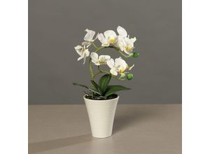 4027234883243 - Kunstblume Orchidee (H 28 cm)