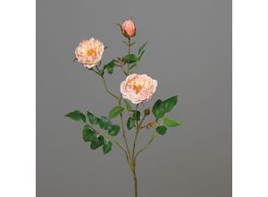 4027234904481 - Kunstblume ROSENZWEIG