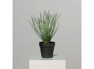 4027234908700 - Kunstpflanze Palme (H 34 cm) H 34 cm grün Pflanze Kunstblume Zimmerpflanze