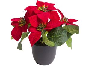 4027234923321 - Kunstblume BOTANIC-HAUS Poinsettie mit 4 Blüten Kunstpflanzen Gr Ø H 23 cm x 22 cm 1 St rot Weitere Weihnachtsdeko