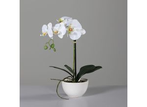 4027234949123 - Kunstblume Orchidee (H 40 cm)