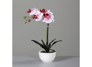 4027234949185 - Kunstblume Orchidee (H 40 cm)