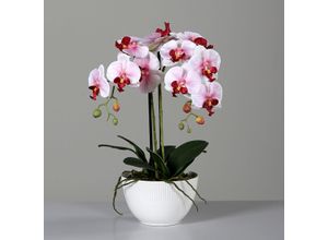 4027234949192 - Kunstblume Orchidee (H 48 cm) H 48 cm pink Pflanze Kunstpflanze Zimmerpflanze