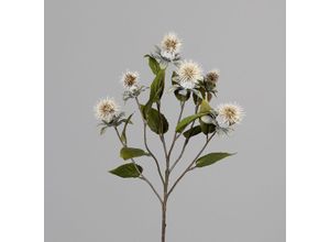 4027234956046 - Kunstblume DISTEL (H 94 cm) H 94 cm weiß Pflanze Kunstpflanze Zimmerpflanze