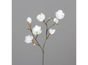 4027234969770 - Kunstblume MAGNOLIE (H 95 cm) H 95 cm beige Pflanze Kunstpflanze Zimmerpflanze