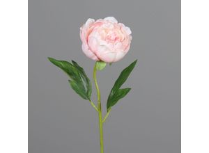 4027234970318 - Kunstblume PÄONIE