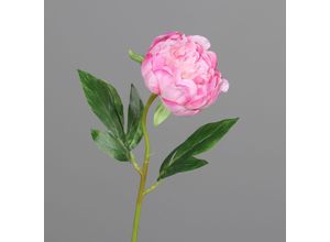 4027234970325 - Kunstblume PÄONIE