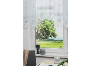 4028298303258 - Scheibengardine »Kiara« (1 St)