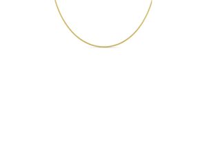 4028576167336 - Collierkettchen FIRETTI Schmuck Geschenk Gold 375 Halsschmuck Halskette Goldkette Panzerkette Halsketten Gr 45 Gelbgold 585 Breite 21 mm gelb (gelbgoldfarben) Damen Colliers zu Kleid Shirt Jeans Sneaker Anlass Geburtstag Weihnachten