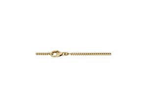 4028576167855 - Collierkettchen FIRETTI Schmuck Geschenk Gold 333 Halsschmuck Halskette Goldkette Panzerkette Halsketten Gr 50 Gelbgold 585 Breite 24 mm gelb (gelbgoldfarben) Damen Colliers zu Kleid Shirt Jeans Sneaker Anlass Geburtstag Weihnachten