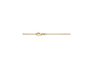 4028576235486 - Collierkettchen FIRETTI Schmuck Geschenk Gold 333 Halsschmuck Halskette Goldkette Ankerkette Halsketten Gr 45 Gelbgold 585 Breite 18 mm gelb (gelbgoldfarben) Damen Colliers Made in Germany