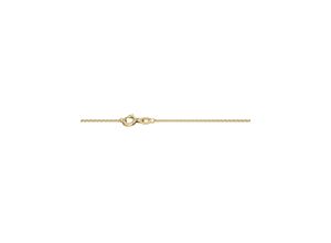 4028576728230 - Collierkettchen FIRETTI Schmuck Geschenk Gold 750 Halsschmuck Halskette Goldkette Rundanker Halsketten Gr 45 Gelbgold 375 Breite 13 mm gelb (gelbgoldfarben) Damen Colliers zu Kleid Shirt Jeans Sneaker Anlass Geburtstag Weihnachten