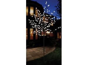 4028998004547 - LED Baum BONETTI Lampen Gr 200 flammig Höhe 150 cm schwarz Deko-Weihnachtsbaum Esszimmerlampe Flurlampe LED-Baum Lichterbaum Weihnachtsbeleuchtung Weihnachtsdekoration Dekofiguren Lampen Weihnachtsdeko