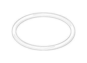 4029011103582 - Dornbracht O-Ring Ersatzteile 091410098 22x16mm 09141009890