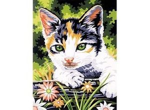 4029059101212 - Malen nach Zahlen mit Acrylfarben Katze 23 x 305 cm