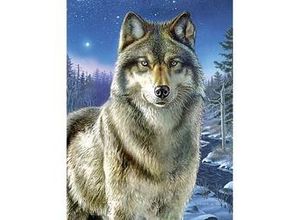 4029059108716 - Malen nach Zahlen mit Acrylfarben Wolf 23 x 305 cm