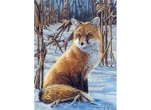 4029059110375 - Malen nach Zahlen mit Acrylfarben Fuchs 23 x 305 cm