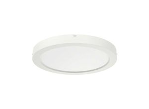 4029299573985 - LED-Sanierungs-Downlight SARA220 ndw 0322094 - Ridi-leuchten