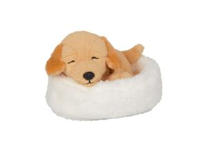 4029753218209 - Die Spiegelburg - Kuscheltier LUSTIGE TIERPARADE - HUND ISI im Korb (13cm)