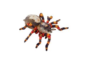 4029753219671 - Die Spiegelburg - Kuscheltier NATURE ZOOM WILD - SPINNE (37cm)