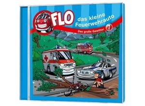 4029856406176 - Das große Gewitter - Folge 7Audio-CD - Christian Mörken (Hörbuch)