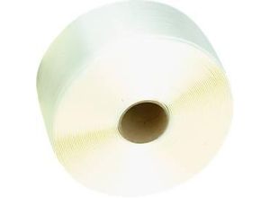 4030198305034 - Umreifungsband Banholzer und Wenz Bruchlast 6000 N Systemstärke 7800 N L 600 m x B 16 mm Polyester weiß 2 Rollen