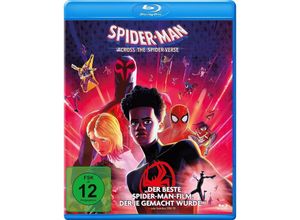 4030521759947 - Thompson Justin K - GEBRAUCHT Spider-Man Across the Spider-Verse [Blu-ray] - Preis vom 25112023 060605 h