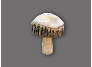 4030673307904 - Pilz mit Rinde (DH 12x23 cm)