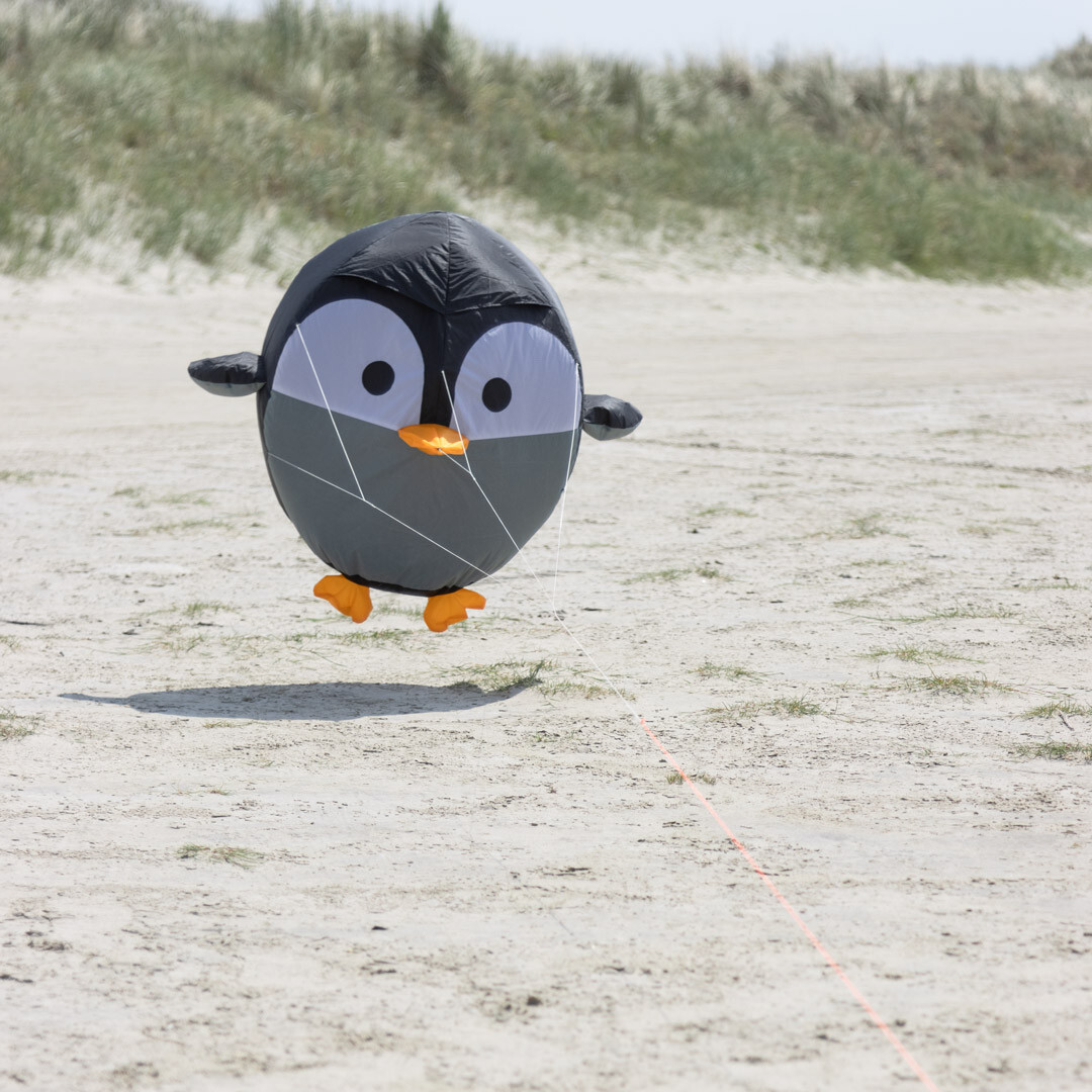 4031169329103 - Pinguin-Wetterfahne Birdeez 4031169329103 - Pinguin-Wetterfahne Birdeez