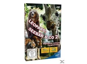 4031778160463 - - GEBRAUCHT Leopard Seebär & Co 2 [4 DVDs] - Preis vom 02062023 050629 h