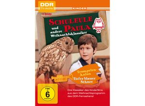 4031778161095 - Schuleule Paula und andere Weihnachtsklassiker (DVD)