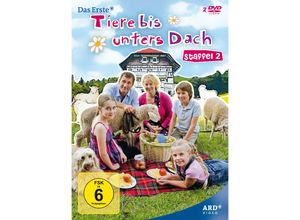 4031778260033 - Tiere bis unters Dach - Staffel 2 (DVD)