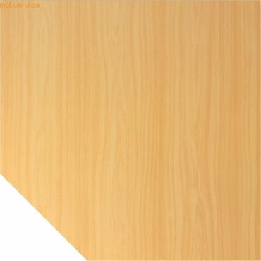 4032062122532 - Trapezplatte JENA Stützfuß B 1200 x T 1200 x H 720 mm Gestell verchromt Buche-Dekor 4032062122532 - Trapezplatte JENA Stützfuß B 1200 x T 1200 x H 720 mm Gestell verchromt Buche-Dekor