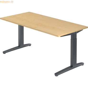 4032062172414 - PRO XTRA XB 16 GG Schreibtisch - Ahorn 160 x 80 höhenverstellbar