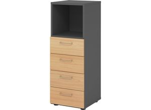 4032062324479 - Regalschrank V9 Advanced V934S4 G 6 BS nein buche graphit 40x110x417cm (BxHxT) 4032062324479 Hammerbacher