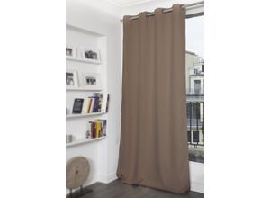 4032107172379 - Vorhang Black out Gardinen Gr 260 cm Ösen 145 cm beige Ösen Gardine