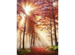 4032295092008 - Leinwandbild BÖNNINGHOFF Herbstwald farbe rahmen kein rahmen farbe bild(er) orange gelb braun grün B46cm H61cm T18cm Canvas MDF Bilder BxH 46x61 cm