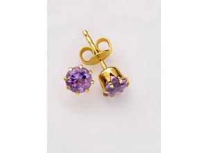 4032547018374 - Paar Ohrstecker LADY Ohrringe Gr Amethyst ct Metall goldfarben (gelbgold 375) Damen Ohrstecker