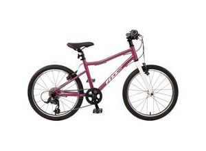 4033365993768 - Bachtenkirch Kinderfahrrad FIZZ 20 Zoll RH 33 cm 7-Gang Freilauf purpur