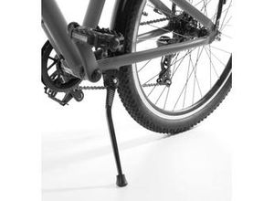 4033365996790 - Jugendfahrrad SWOP 24 Zoll matt-grau