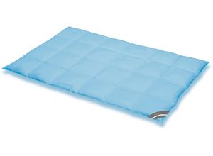 4033829021341 - Daunenbettdecke SPESSARTTRAUM Komfort Bettdecken Gr B L 155 cm x 220 cm warm blau Sommerbettdecke hergestellt in Deutschland allergikerfreundlich