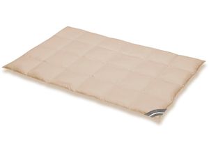 4033829021396 - Daunenbettdecke SPESSARTTRAUM Komfort Bettdecken Gr B L 155 cm x 220 cm warm beige (creme) Sommerbettdecke hergestellt in Deutschland allergikerfreundlich