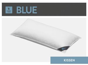 4033829470002 - Federkissen SPESSARTTRAUM Blue Kopfkissen Gr B L 80 cm x 80 cm Baumwolle 1 St weiß Allergiker Kopfkissen hergestellt in Deutschland allergikerfreundlich