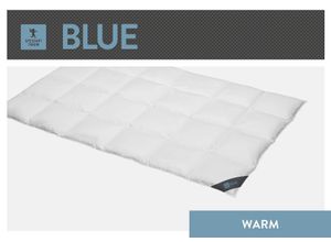 4033829470224 - Daunenbettdecke SPESSARTTRAUM Blue Bettdecken Gr B L 135 cm x 200 cm warm weiß Sommerbettdecke hergestellt in Deutschland allergikerfreundlich