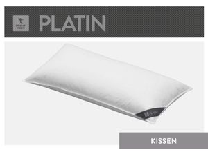 4033829471368 - Daunenkissen SPESSARTTRAUM Platin Kopfkissen Gr B L 80 cm x 80 cm Baumwolle 1 St weiß Allergiker Kopfkissen hergestellt in Deutschland allergikerfreundlich