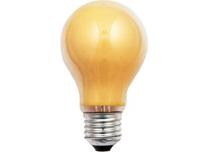 4034451402478 - Glühlampe B60x105mm 40247 - Scharnberger+hasenbein