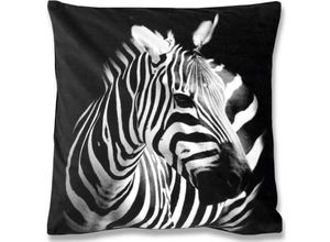 4035179108789 - Bestlivings - Kissenbezug Fotodruck Motiv in 40x40 cm Flauschig weiche Kissen-Hülle in vielen Motiven erhältlich ( Design Zebra ) - Zebra