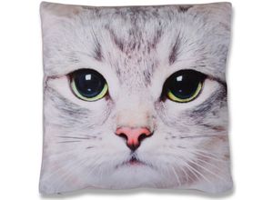 4035179108864 - Bestlivings - Kissenbezug Fotodruck Motiv in 40x40 cm Flauschig weiche Kissen-Hülle in vielen Motiven erhältlich ( Design Katze ) - Katze