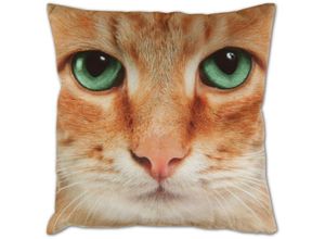 4035179114001 - Bestlivings - Kissenbezug Fotodruck Motiv in 40x40 cm Flauschig weiche Kissen-Hülle in vielen Motiven erhältlich ( Design Katze Beige ) - Katze